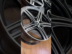 TOYOTA LAND CRUISER 200 REEKSEN