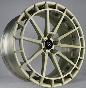 Licht Goud Geborsteld 20x9.5 2-DELIGE Velgen voor 2002 Audi RS6